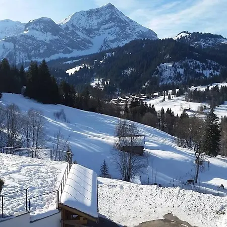 Apartment Great Luxurious Flat In Pitoresque Lauenen Village