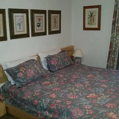 Great Luxurious Flat In Pitoresque Lauenen Village *