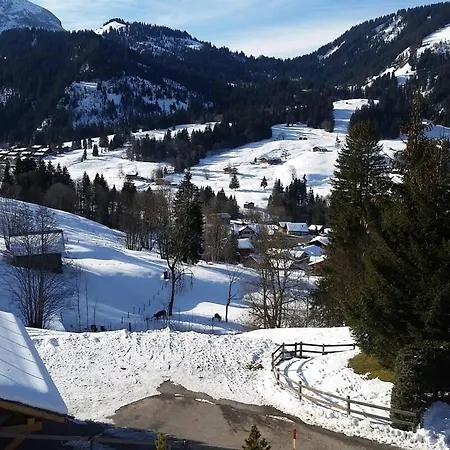 Great Luxurious Flat In Pitoresque Lauenen Village *