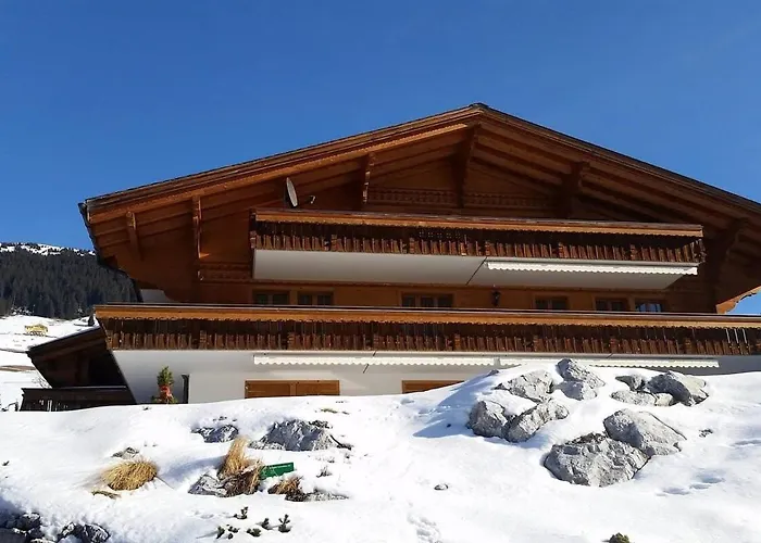 Great Luxurious Flat In Pitoresque Lauenen Village Gstaad