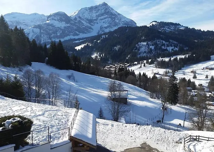 Lejlighed Great Luxurious Flat In Pitoresque Lauenen Village