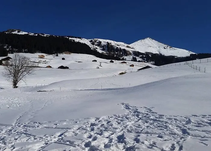 Great Luxurious Flat In Pitoresque Lauenen Village * Gstaad