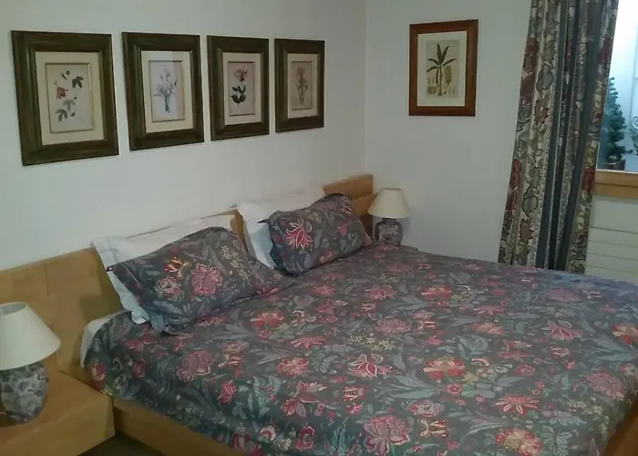 Great Luxurious Flat In Pitoresque Lauenen Village *