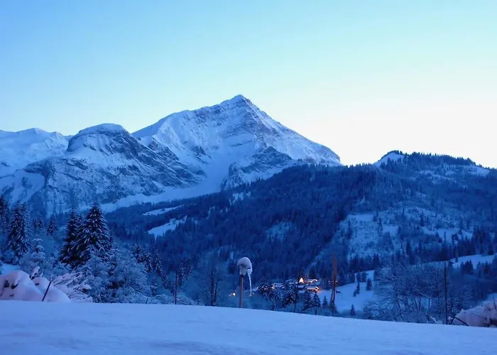 Great Luxurious Flat In Pitoresque Lauenen Village Lejlighed