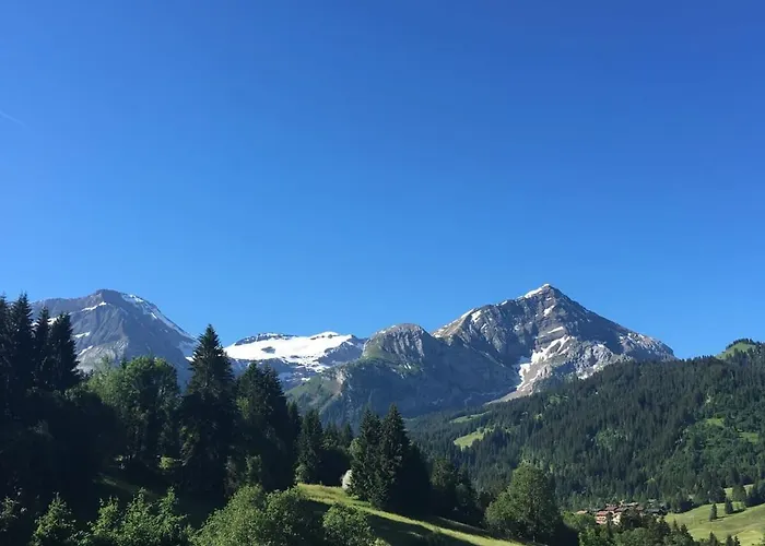 Lejlighed Great Luxurious Flat In Pitoresque Lauenen Village