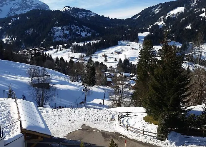 Great Luxurious Flat In Pitoresque Lauenen Village *